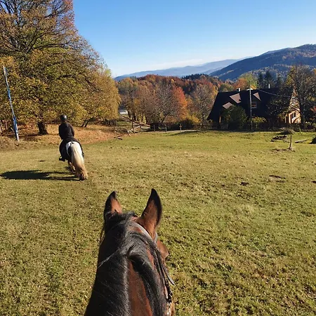 Z Glowa W Chmurach - ザボヤ